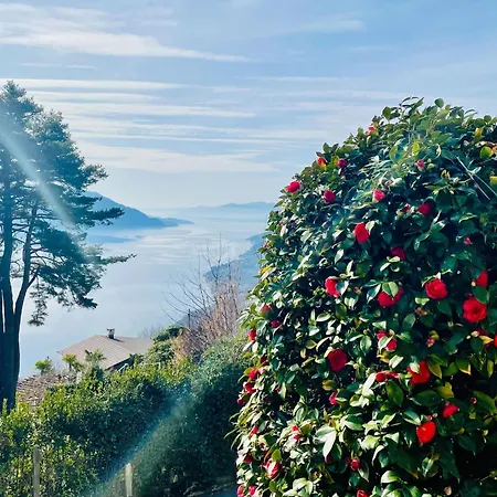 Charming With Sensational View Of Maggiore Trarego Viggiona
