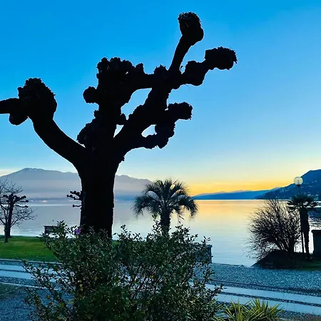 Charming With Sensational View Of Maggiore * Trarego Viggiona